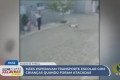 Ataque de cachorro