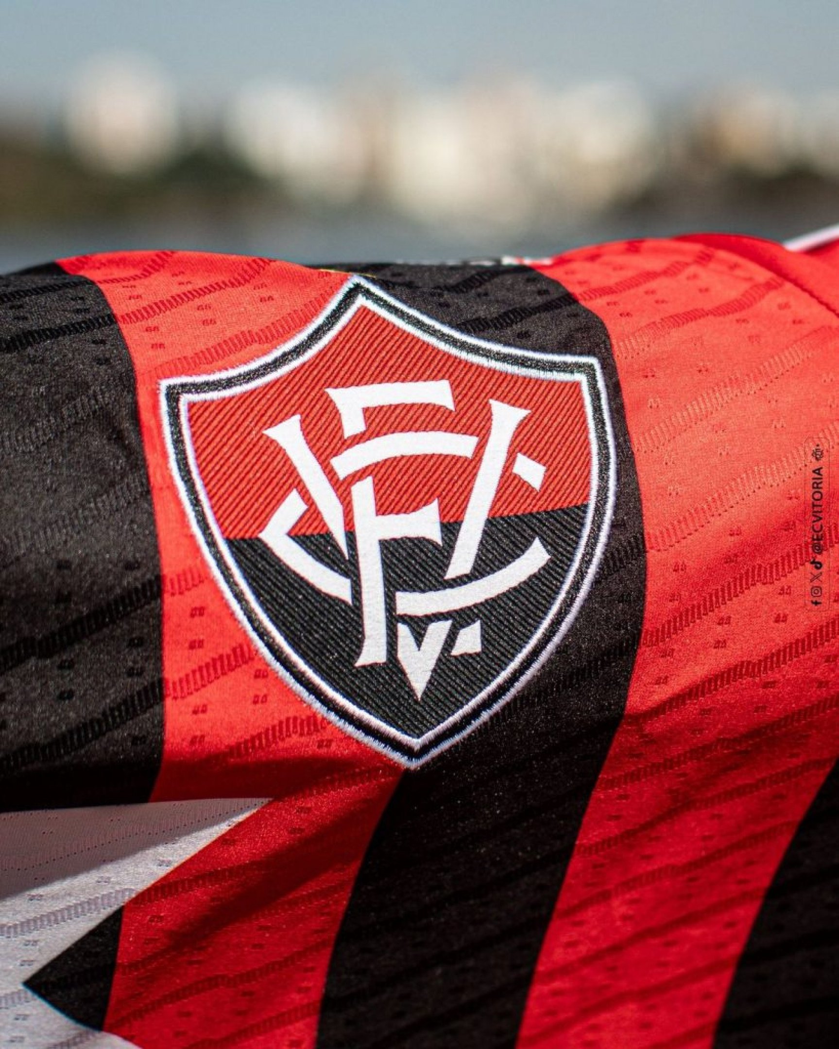 Vitória aparece entre as 20 maiores torcidas do Brasil em nova pesquisa nacional