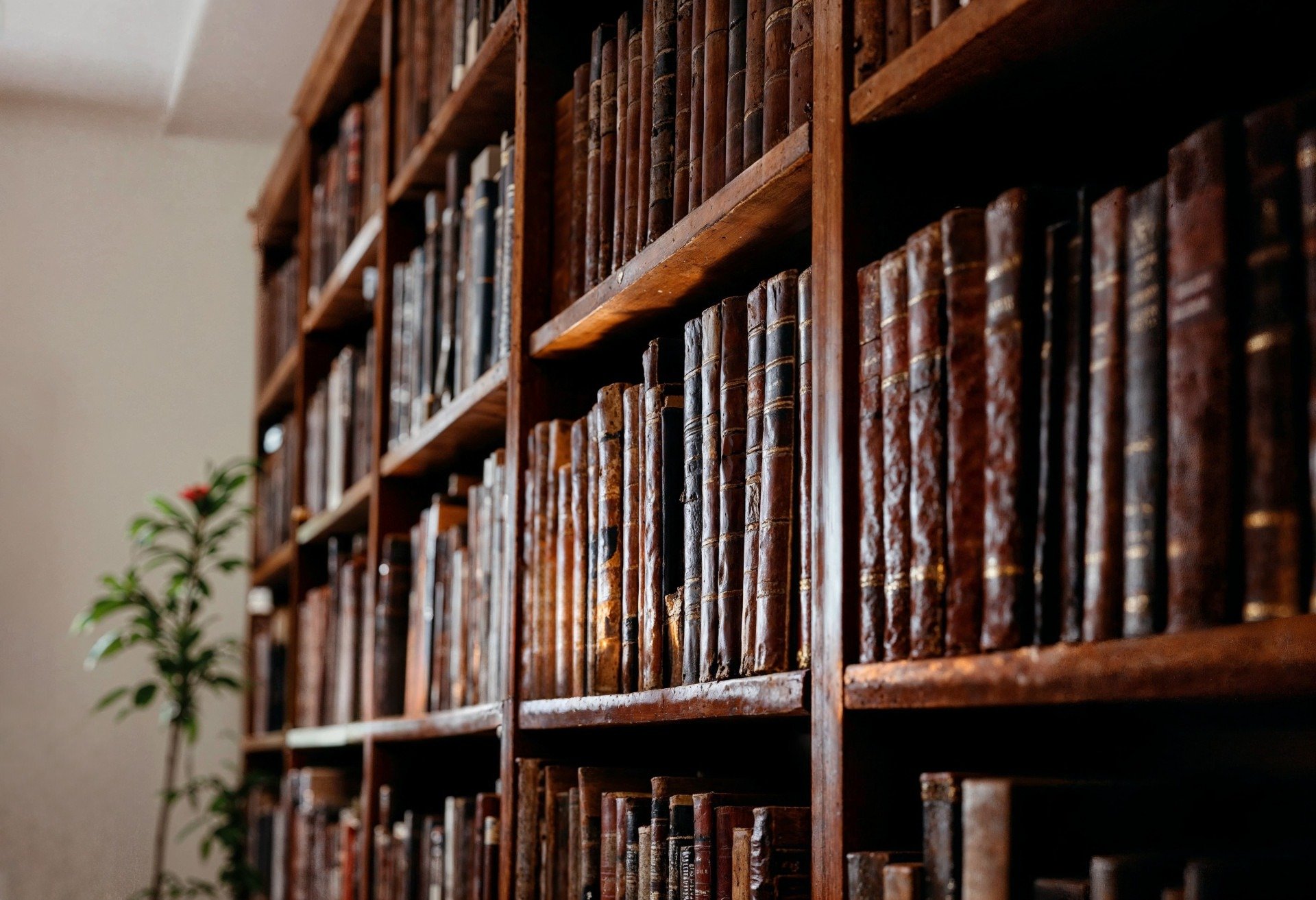 5 livros para quem tem medo de envelhecer