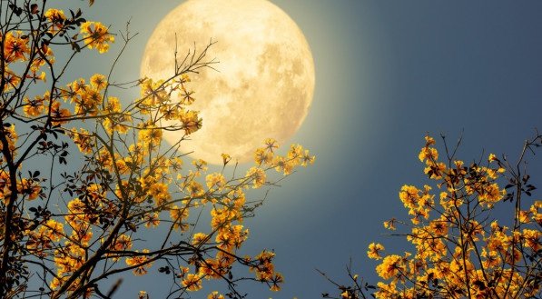 Lua cheia de 19 de agosto promete chuva de bênçãos pra 3 signos