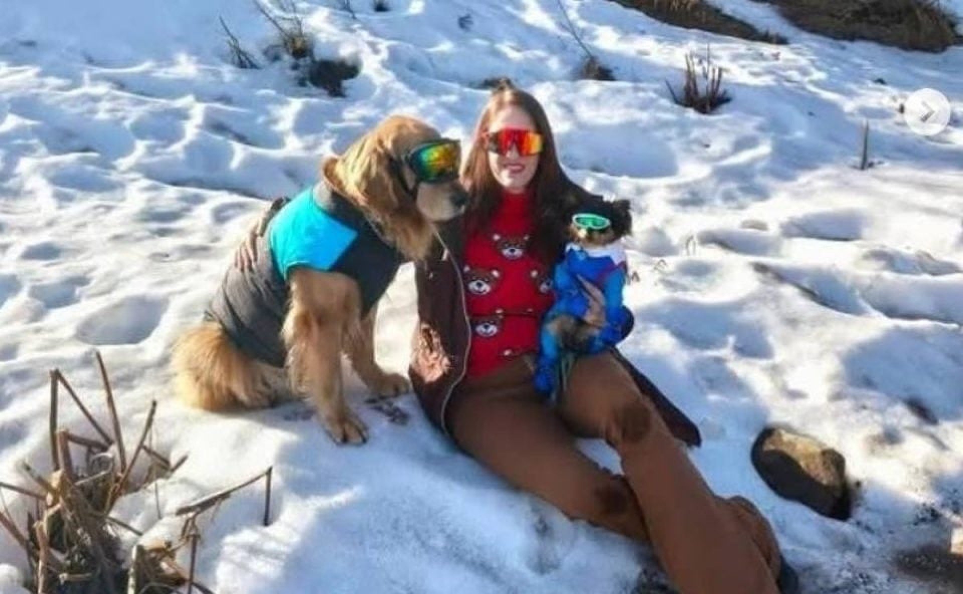 Brasileira que morreu em acidente na Argentina realizava sonho de levar cães para ver a neve