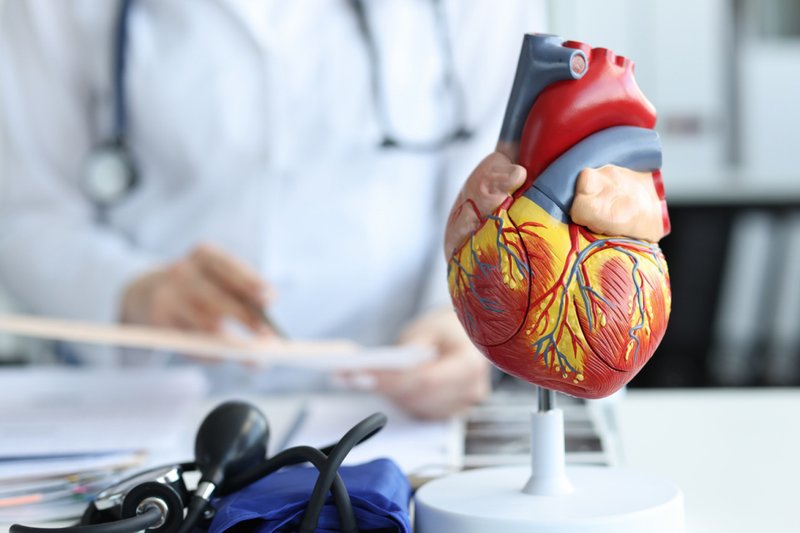 O médico cardiologista é o profissional habilitado para fazer o acompanhamento preventivo da saúde cardiovascular