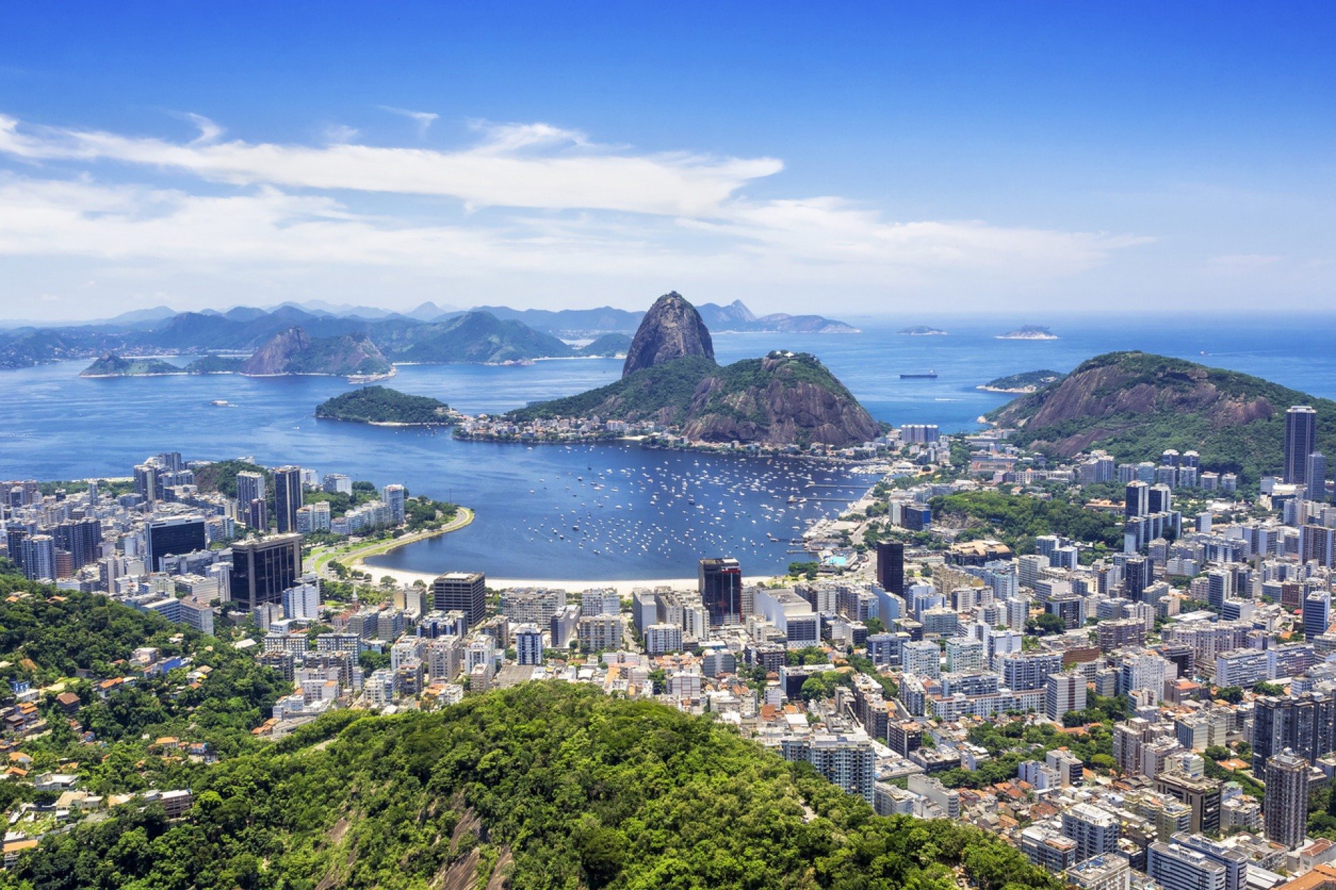 Rodrigo M Nunes/iStock