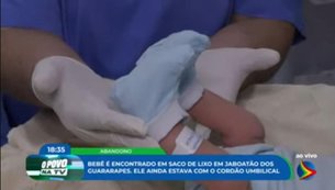 arara
