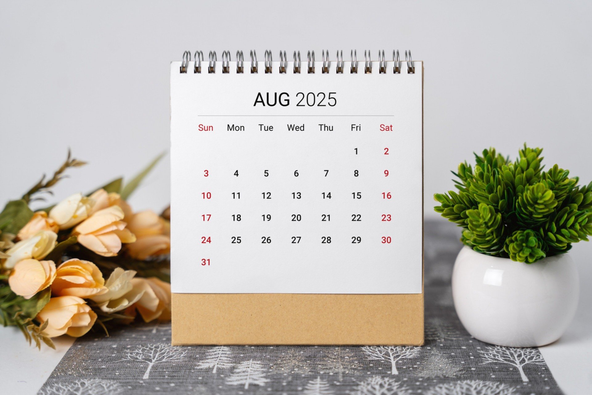 Reprodução/ iStock