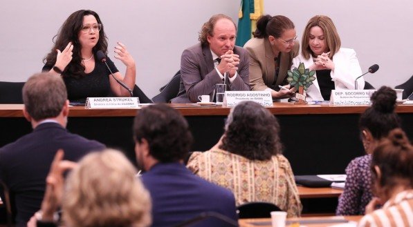 Comissão de Meio Ambiente e Desenvolvimento Sustentável da Câmara em julho, durante audiência pública, debateu impactos e riscos do projeto de licenciamento ambiental (PL 2.159/2021)