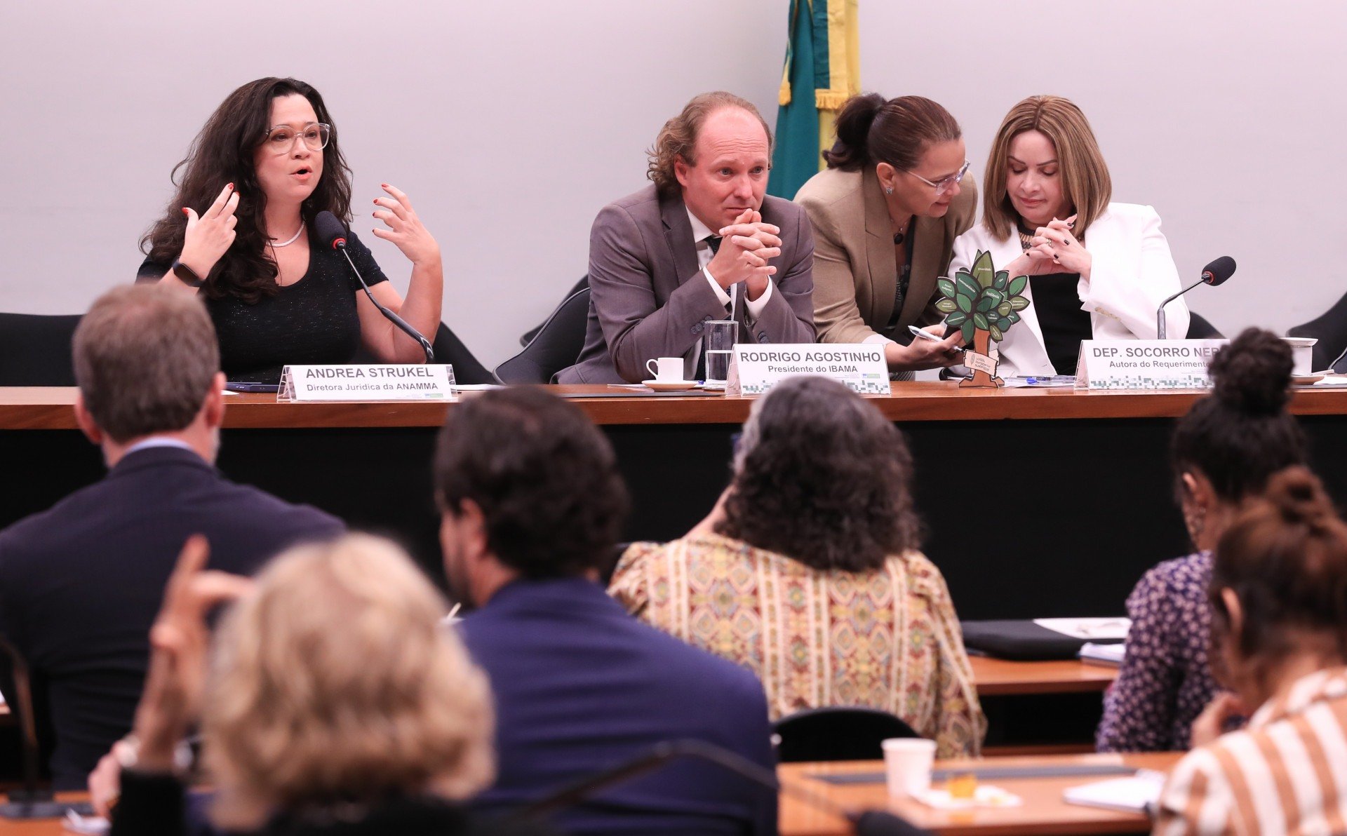 'Veta tudo, Lula': projeções em prédios de São Paulo protestam contra PL do Licenciamento Ambiental