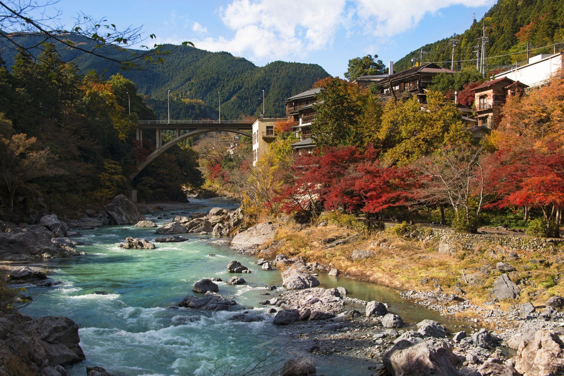 iStock
