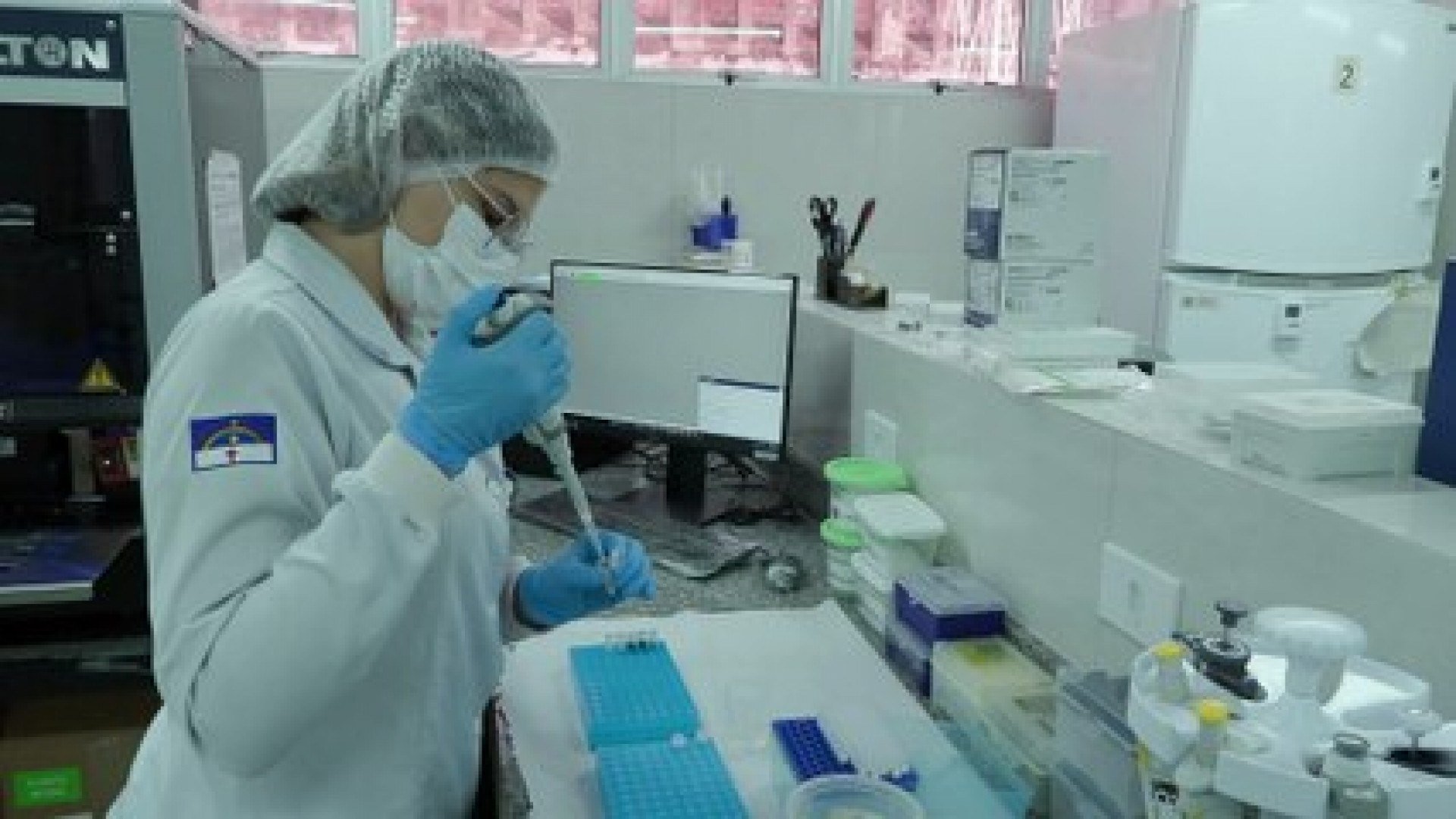 Desaparecidos: veja como registrar ocorrência e a importância da coleta de DNA na identificação