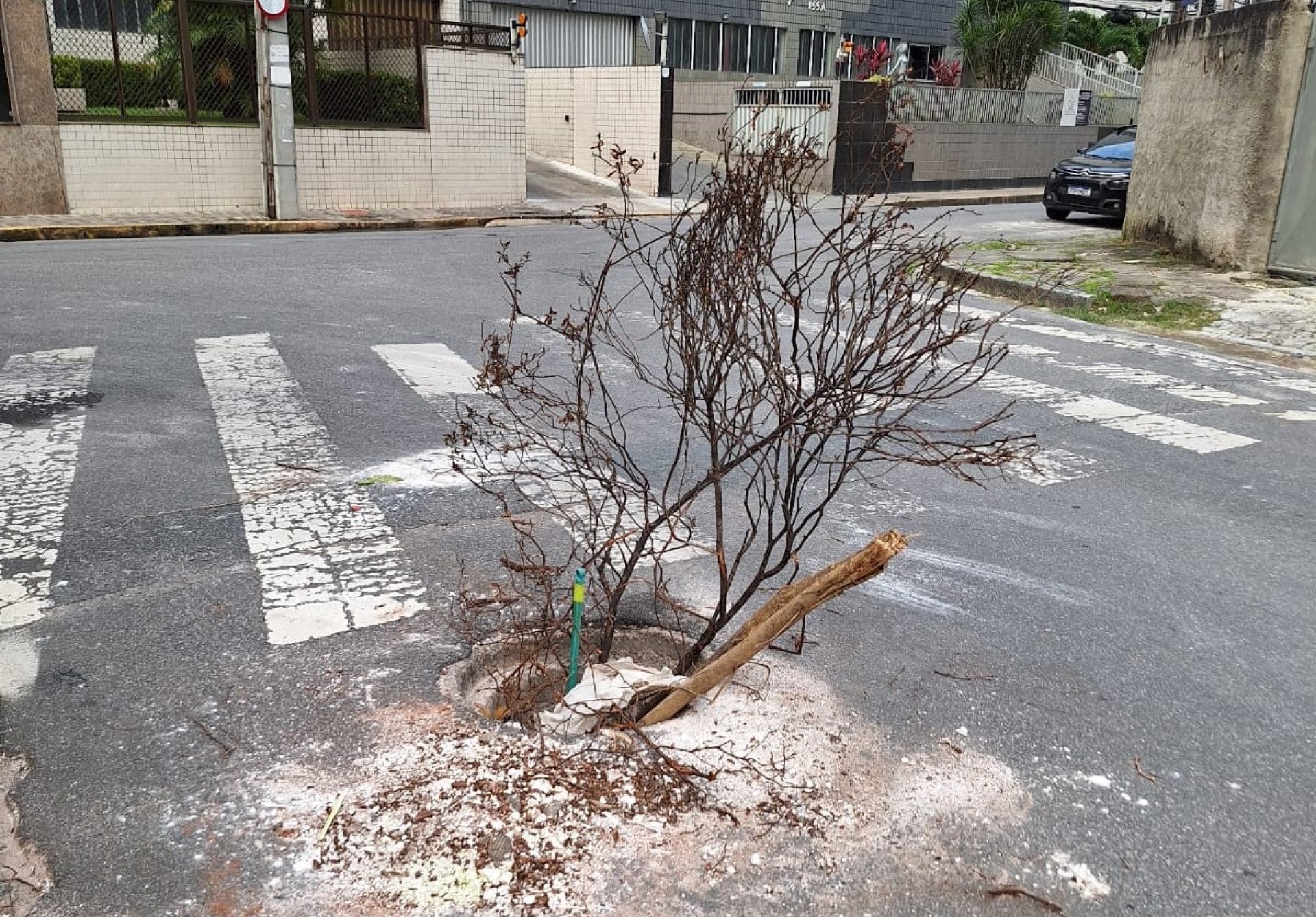 Voz do Leitor, 09/08: Bueiro sem tampa coloca motoristas em perigo
