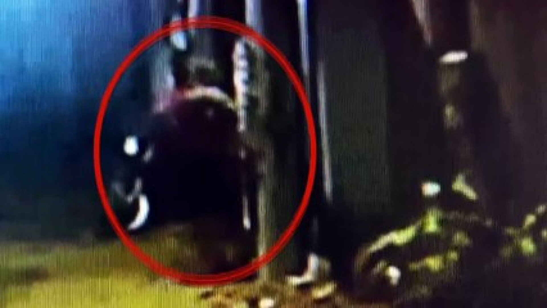 Homem invade residência em Olinda e acaba ferido durante confronto; caso está sob investigação