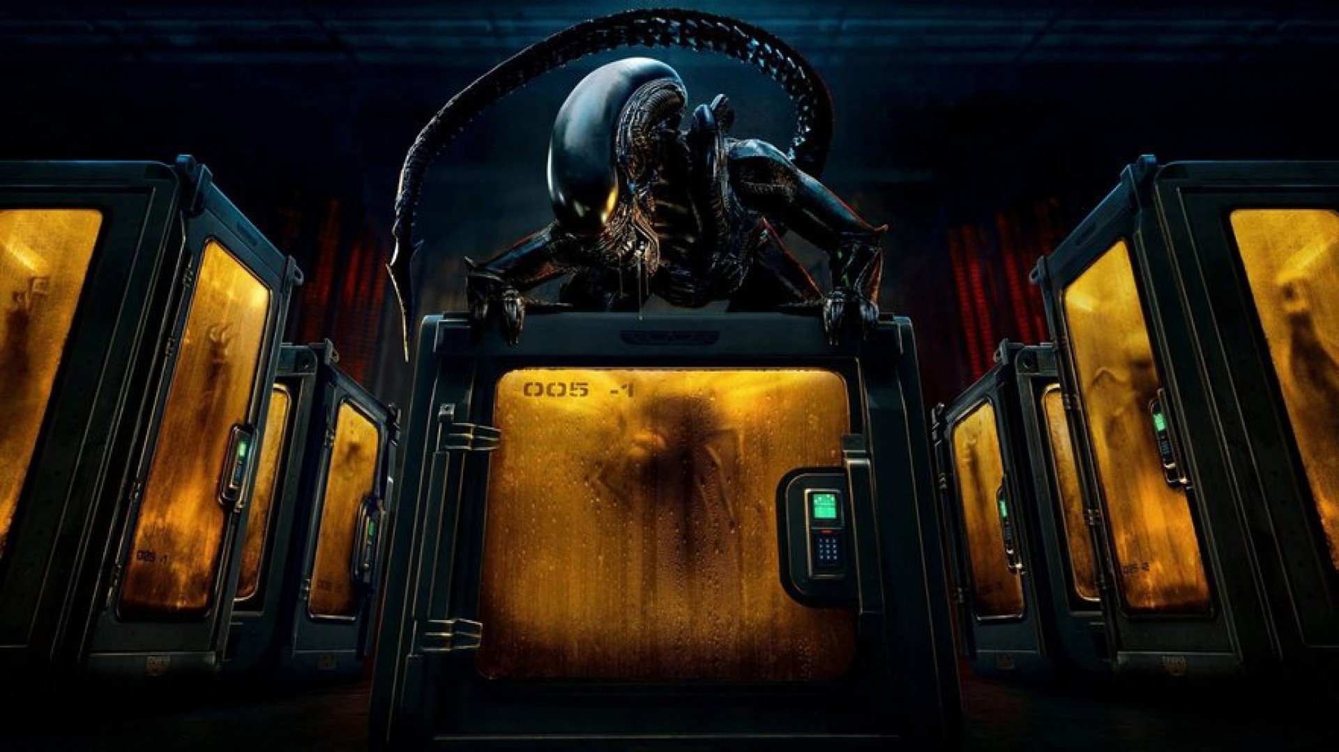 ‘Alien: Earth’ estreia no Disney+; saiba quando assistir aos dois primeiros episódios