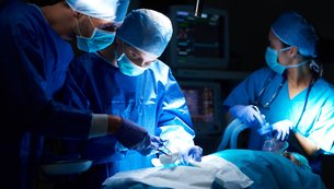 transplante