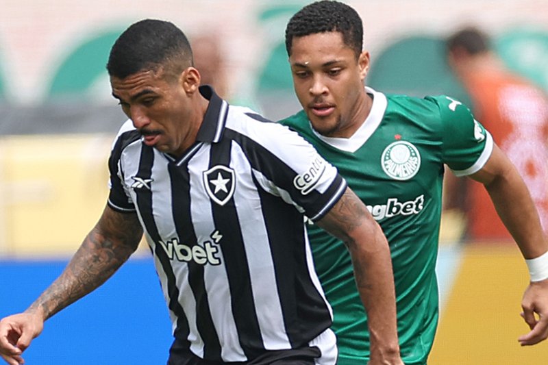 Allan e Vitor Roque disputam bola em Palmeiras x Botafogo
