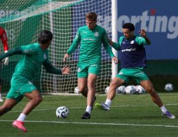 Palmeiras x Botafogo: Verdão defende melhor campanha como visitante em duelo de times em alta no cenário nacional e continental