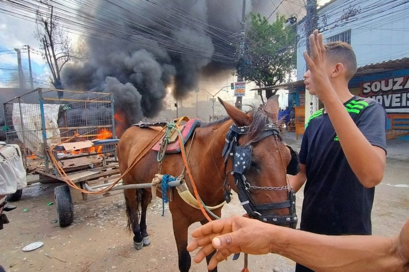 Entenda o motivo dos protestos dos carroceiros no Grande Recife