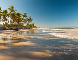 Paisagem tropical com praia com coqueiros ao pôr do sol 