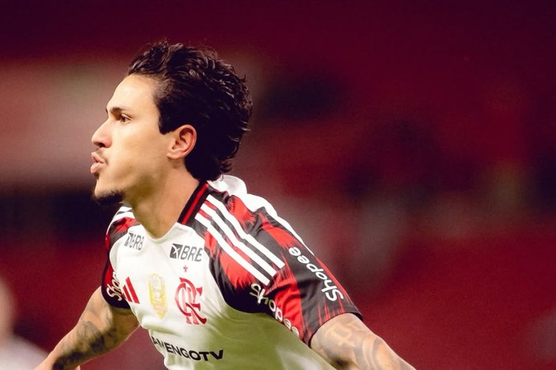 Pedro celebra gol pelo Flamengo contra o Internacional