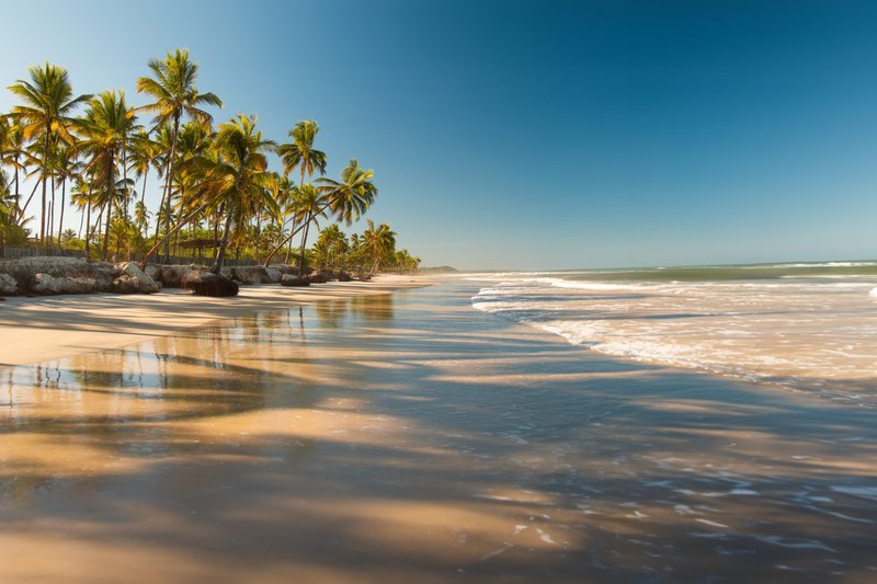 Paisagem tropical com praia com coqueiros ao pôr do sol 