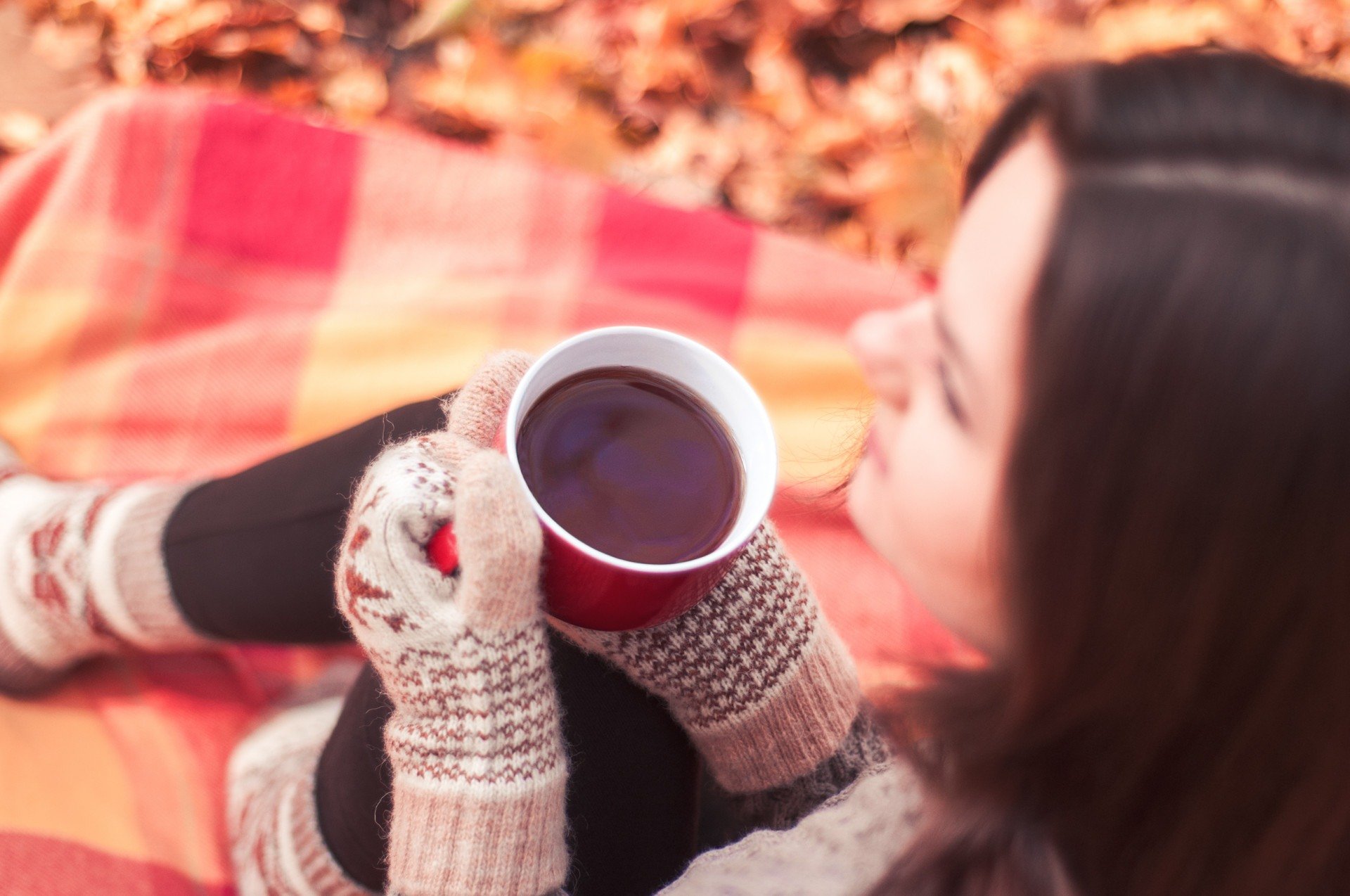 Frio no Nordeste? Conheça 5 cidades nordestinas que lembram o clima do Sul do país