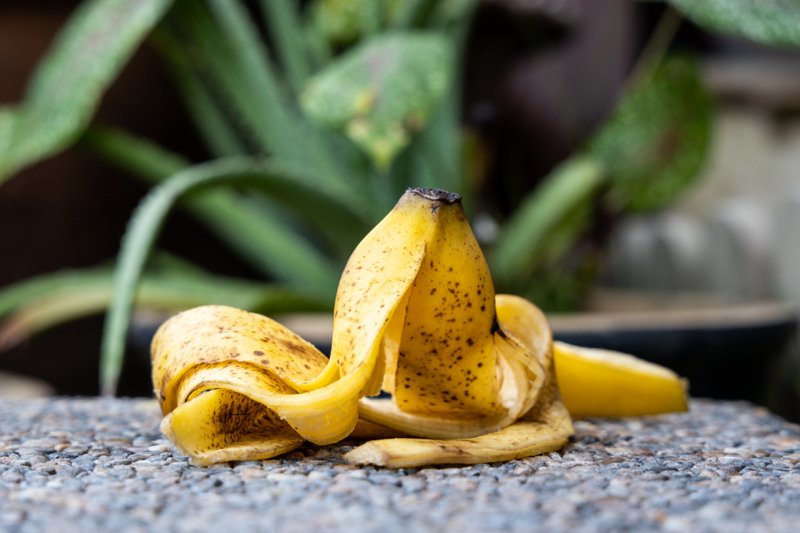 Imagem ilustrativa da casca de banana!