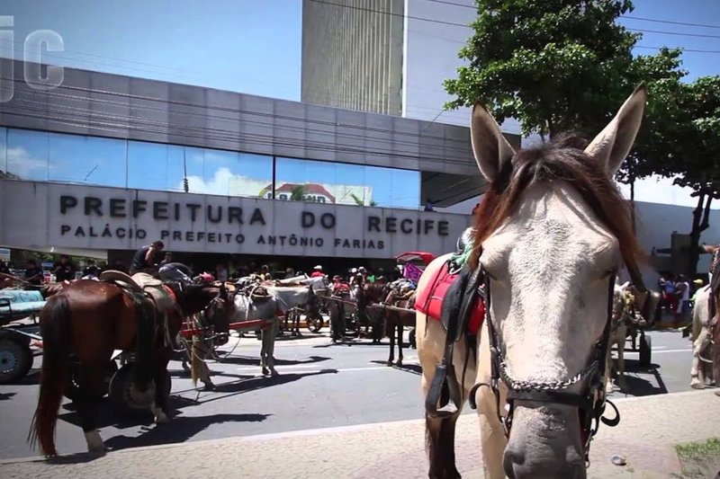 Carroceiros na ciade do Recife Protesto Na PCR 