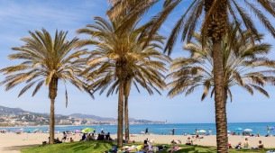 Imagem ilustrativa de um dia bonito!