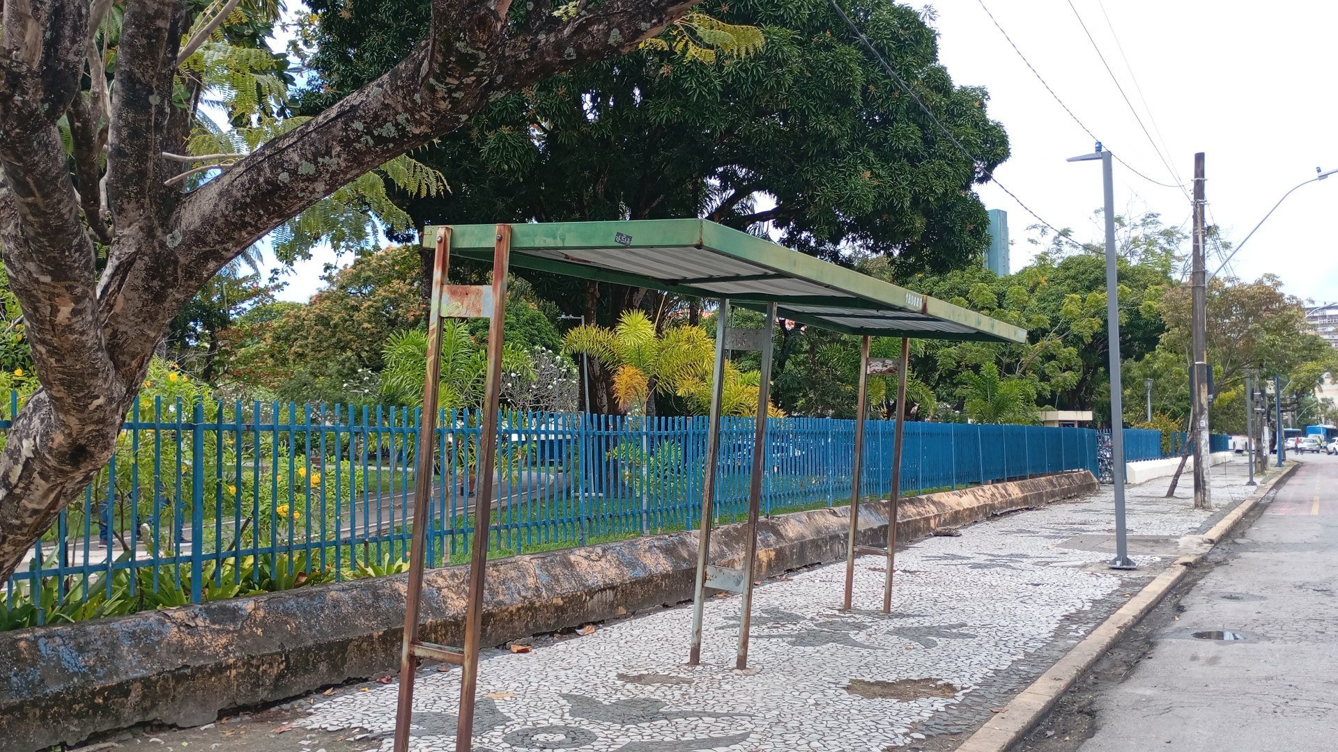 Foto da capa: Voz do Leitor
