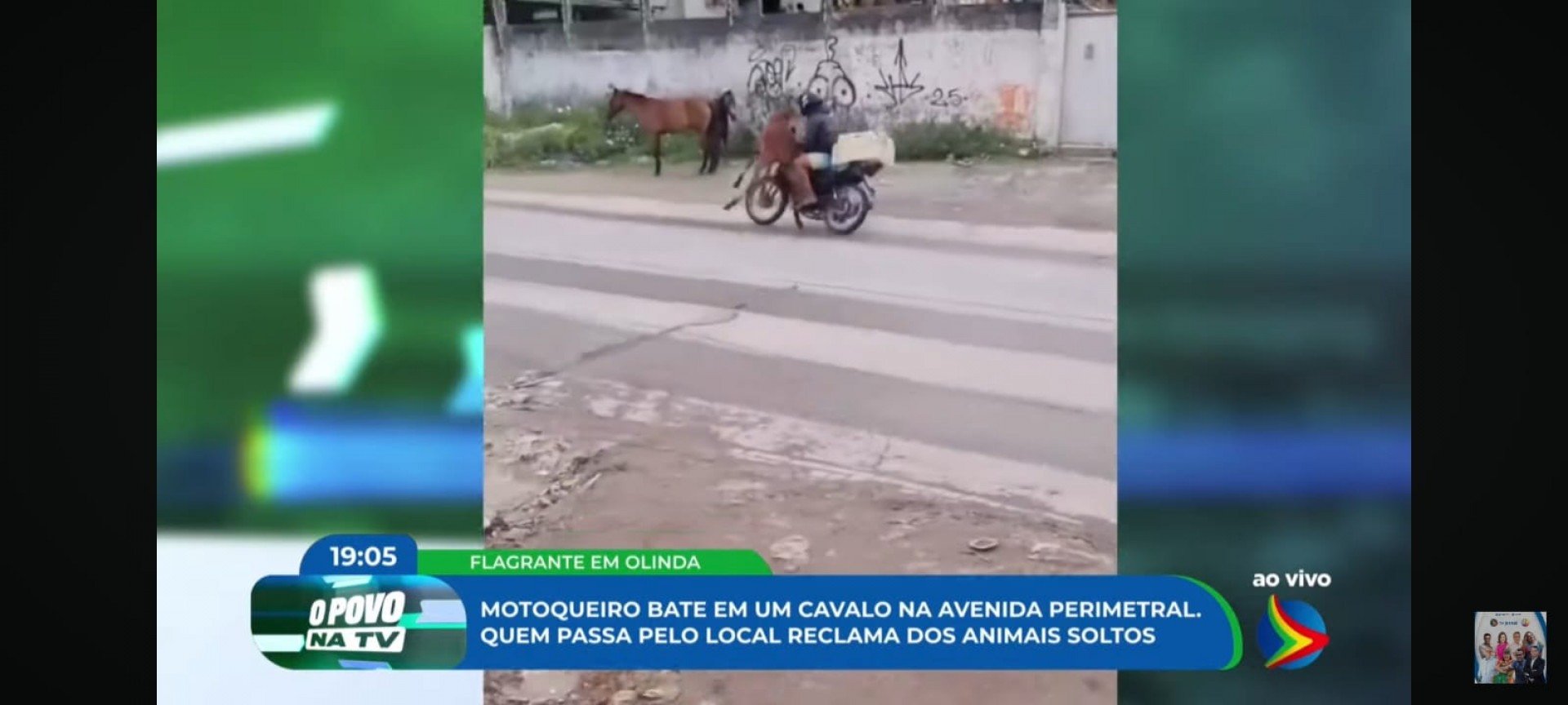 Motociclista atropela cavalo que cruzava avenida Perimetral, em Olinda