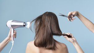 corte