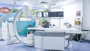 cardiovascular