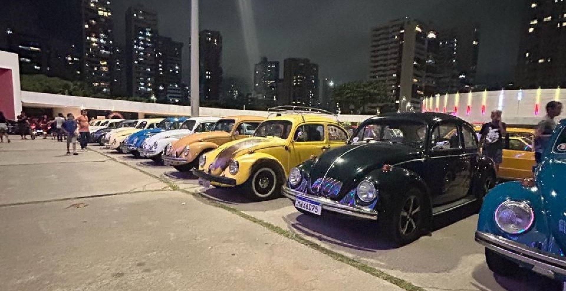 Divulgação 
