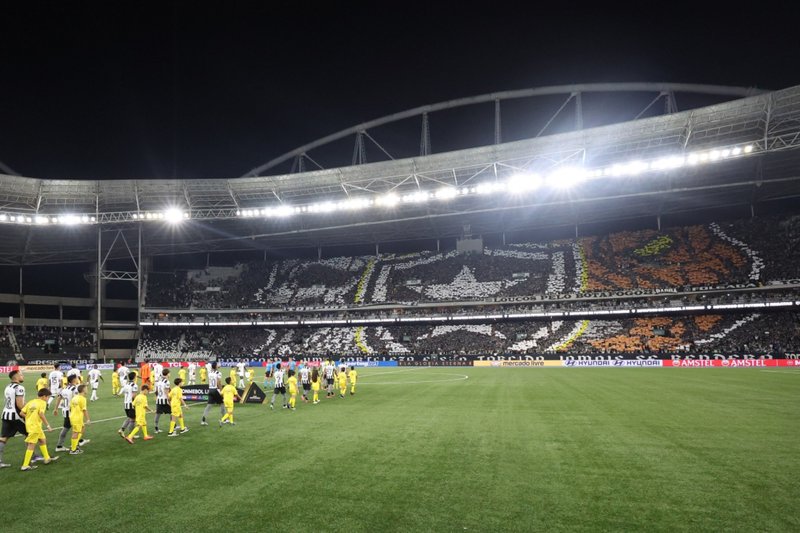Mosaico da torcida do Botafogo no Estádio Nilton Santos