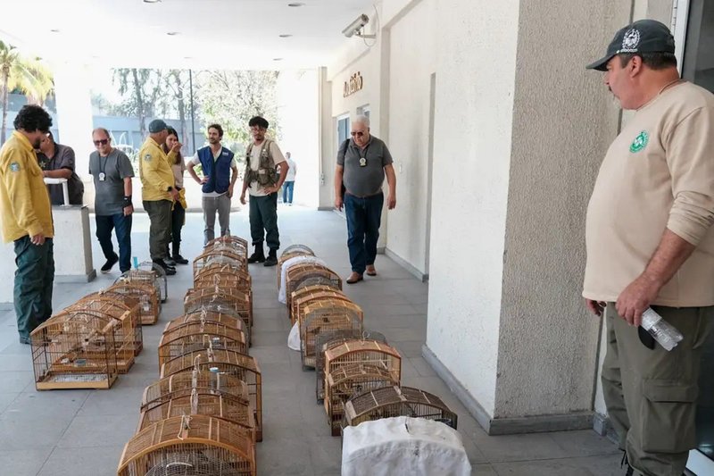 Maior parte dos animais resgatados foi levada para Cidade da Polícia, onde estão recebendo atendimento veterinário e serão avaliados por peritos criminais