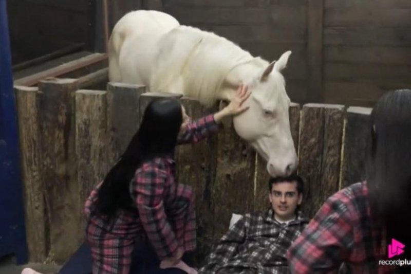 Dudu Camargo foi mordido por cavalo em A Fazenda