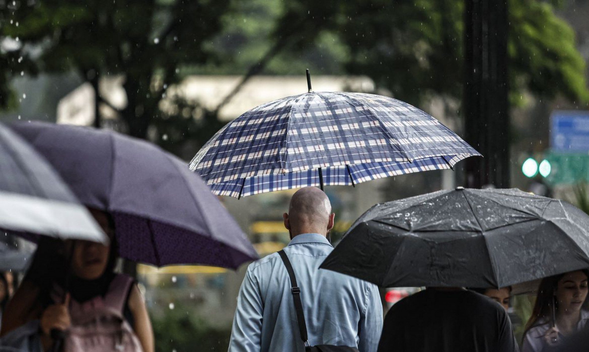SP: Chuva, ventos fortes e queda de árvores deixam 900 mil sem energia
