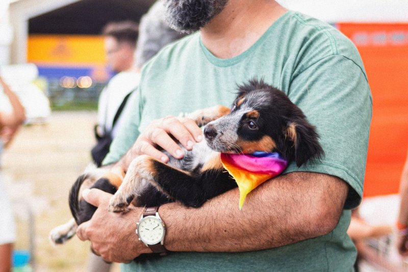 Evento de adoção e vacinação acontece no Cais do Sertão