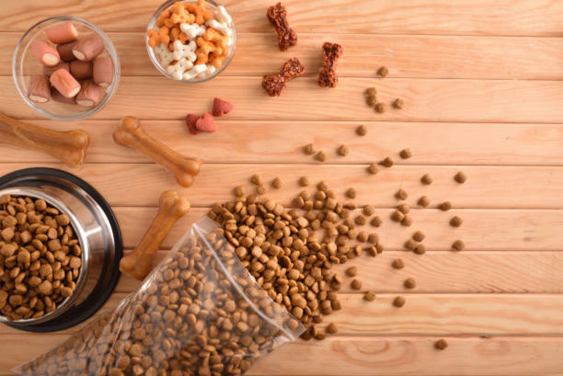 Brasil é líder na exportação de alimentos para pets na América do Sul: confira as cinco maiores empresas do setor
