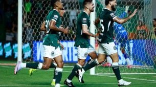 Jogadores do Goiás comemoram gol