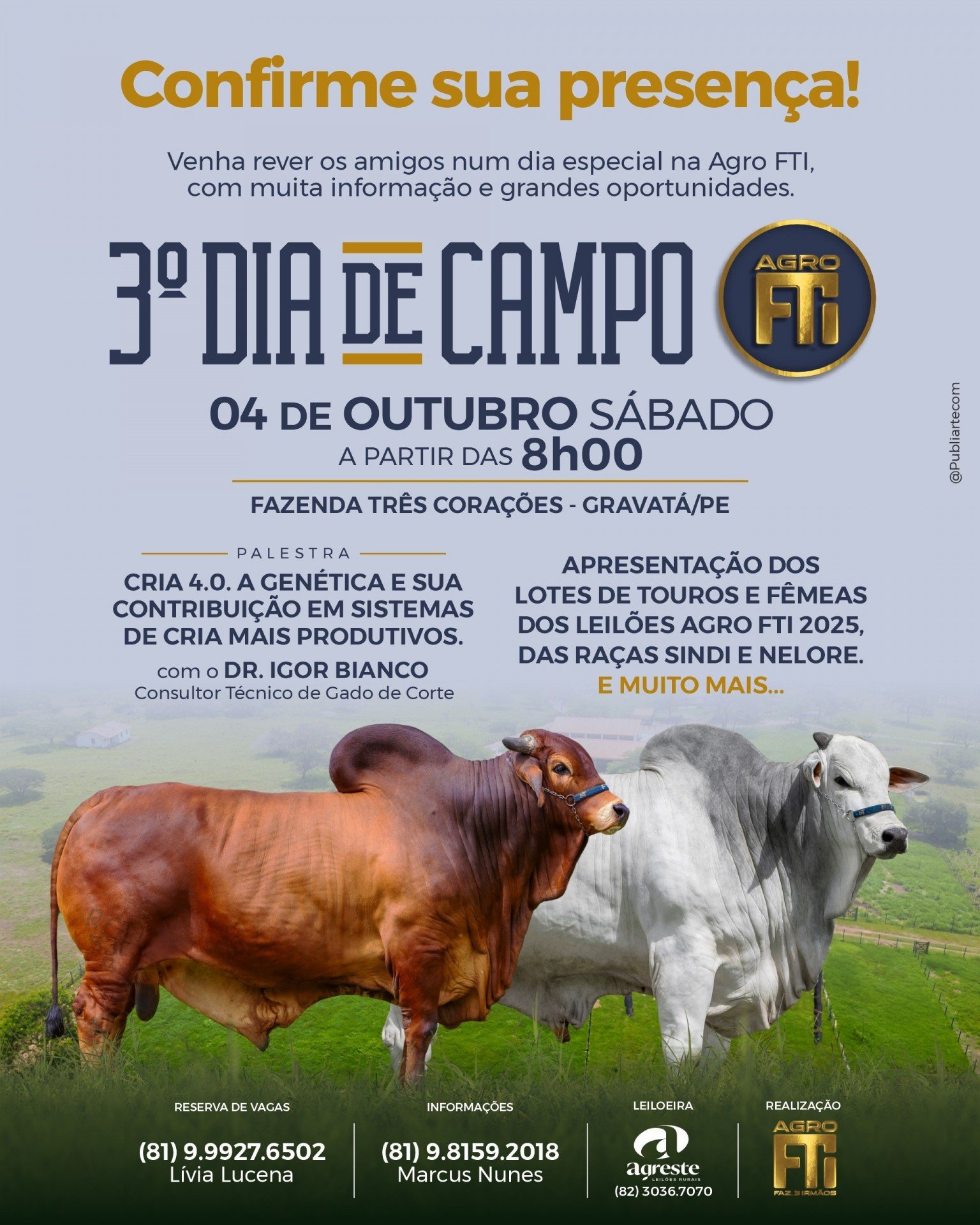 Divulgação