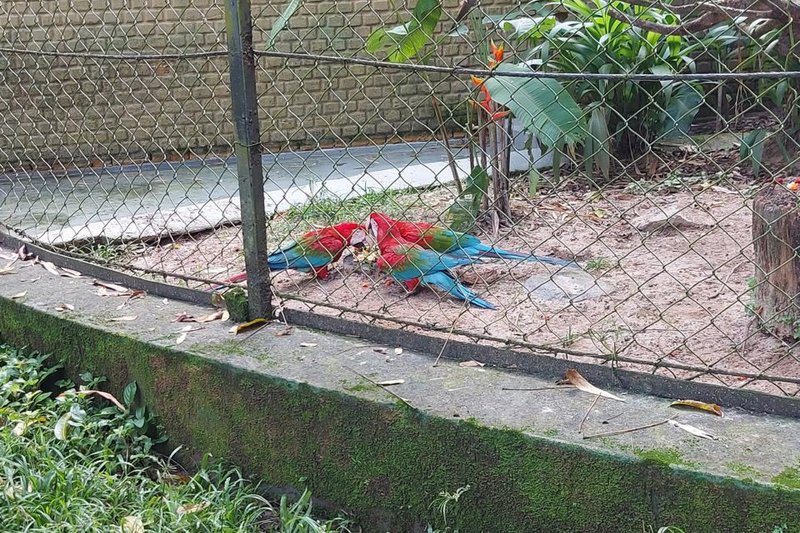 Parque Estadual Dois Irmaõs
