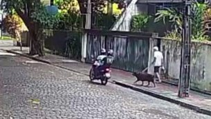 assalto