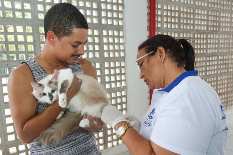 Além dos serviços de saúde, o evento também promoverá uma feira de adoção de cães e gatos.
