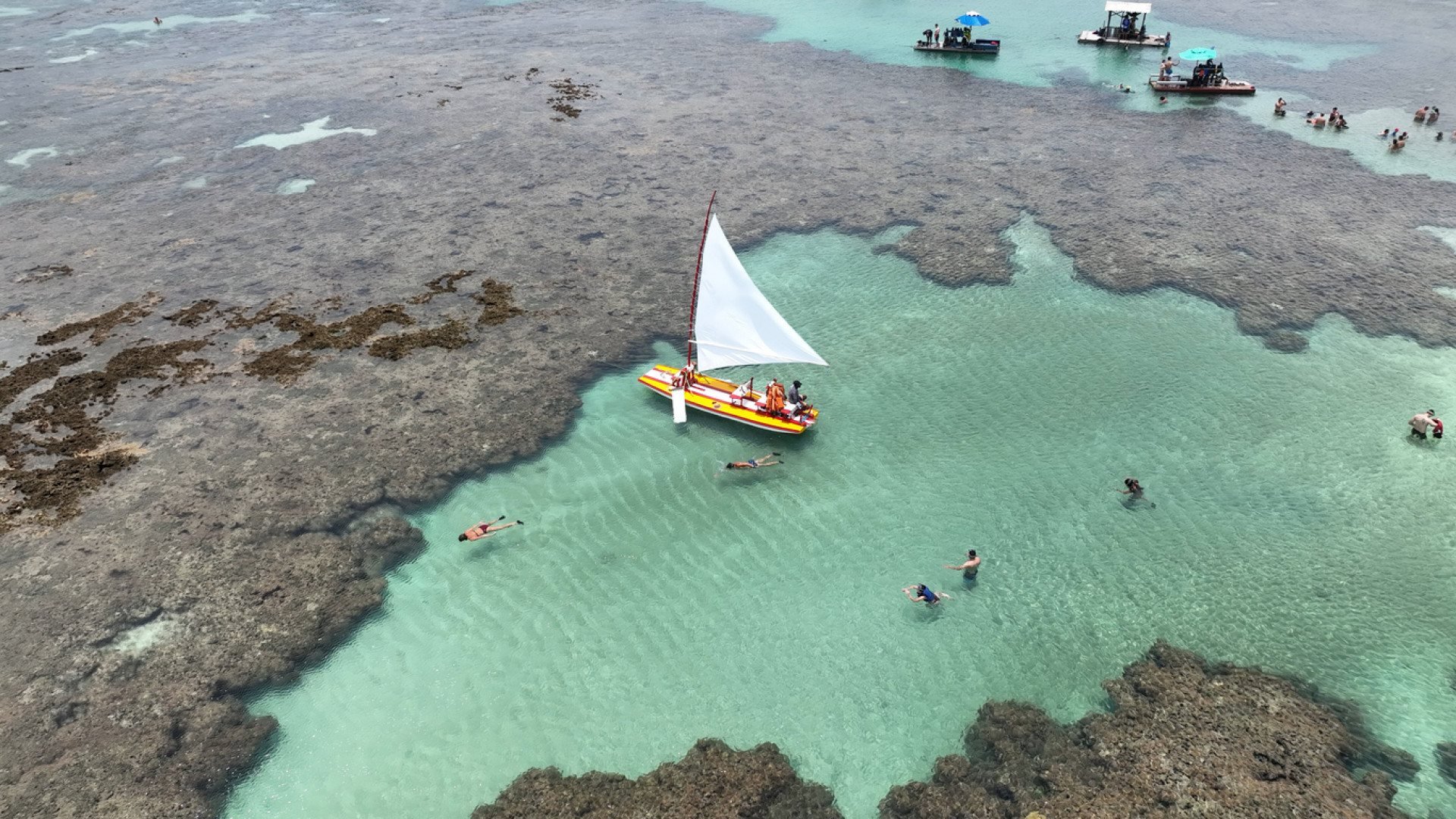 Tábua de marés em Porto de Galinhas nesta quarta (08/10/25) indica grandes variações e correntezas intensas