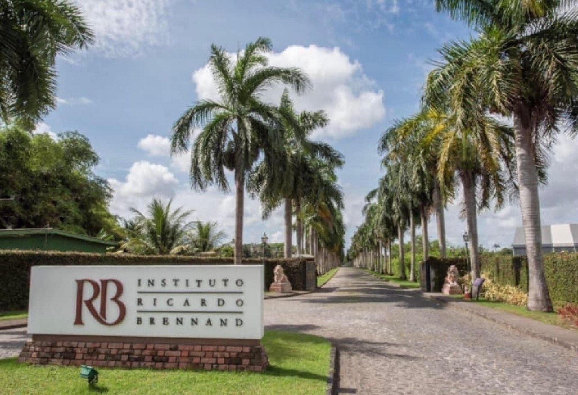 Instituto Ricardo Brennand celebra o Dia das Crianças com Festival Medieval e show do Mundo Bita
