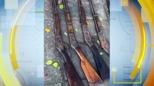 Idoso de 77 anos foi preso em opera&ccedil;&atilde;o ambiental que apreendeu mais de 200 aves, animais ex&oacute;ticos e diversas armas em sua resid&ecirc;ncia.