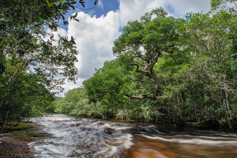 A realização da COP 30 em Belém coloca a Amazônia no centro das discussões climáticas e no radar dos temas prováveis do Enem 2025