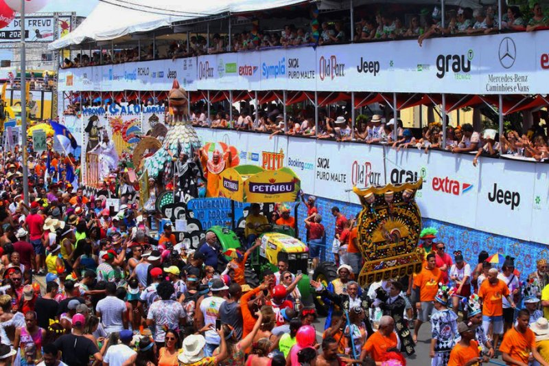 Recifolia 