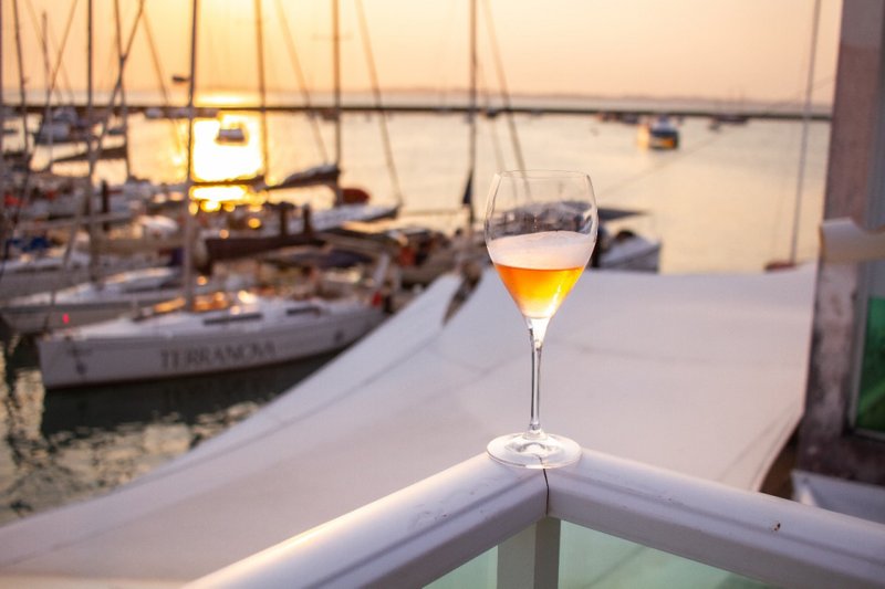 Além da prova de vinhos, o festival oferece uma programação ampla