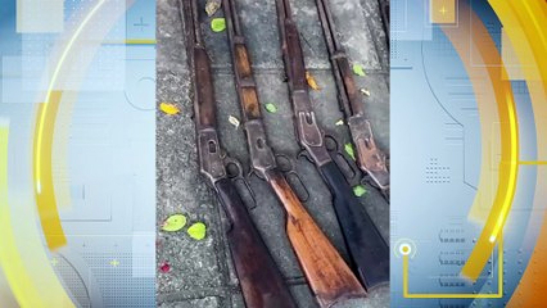 Idoso é preso por posse ilegal de animais e armas em operação ambiental